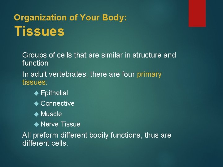 Organization of Your Body: Tissues Groups of cells that are similar in structure and