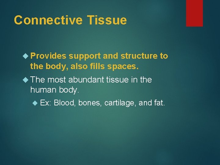 Connective Tissue Provides support and structure to the body, also fills spaces. The most