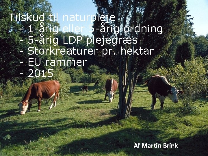 Tilskud til naturpleje - 1 -årig eller 5 -årig ordning - 5 -årig LDP