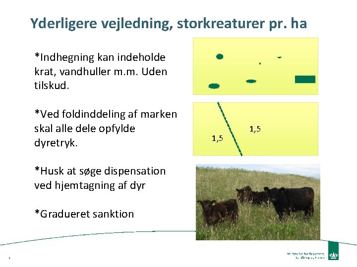 Yderligere vejledning, storkreaturer pr. ha *Indhegning kan indeholde krat, vandhuller m. m. Uden tilskud.