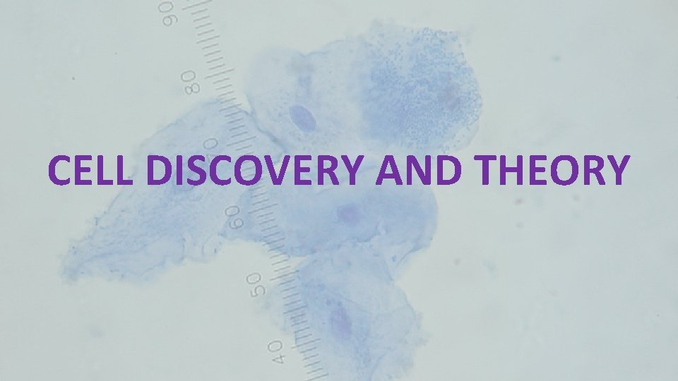 CELL DISCOVERY AND THEORY 