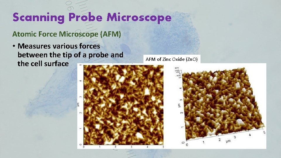 Scanning Probe Microscope Atomic Force Microscope (AFM) • Measures various forces between the tip