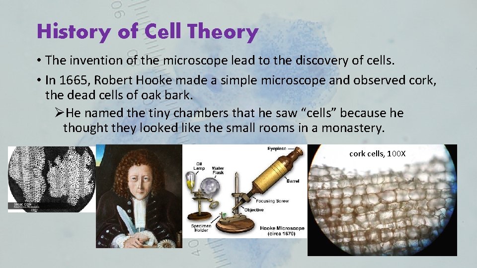 History of Cell Theory • The invention of the microscope lead to the discovery
