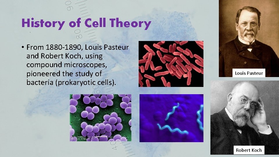 History of Cell Theory • From 1880 -1890, Louis Pasteur and Robert Koch, using