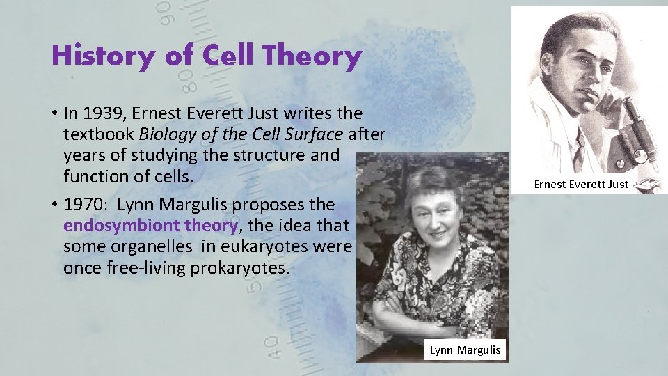 History of Cell Theory • In 1939, Ernest Everett Just writes the textbook Biology