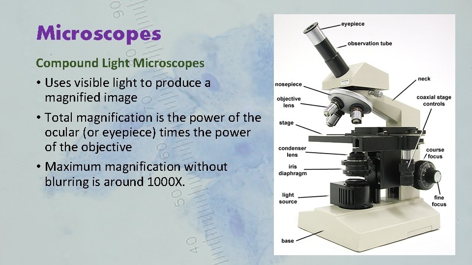 Microscopes Compound Light Microscopes • Uses visible light to produce a magnified image •