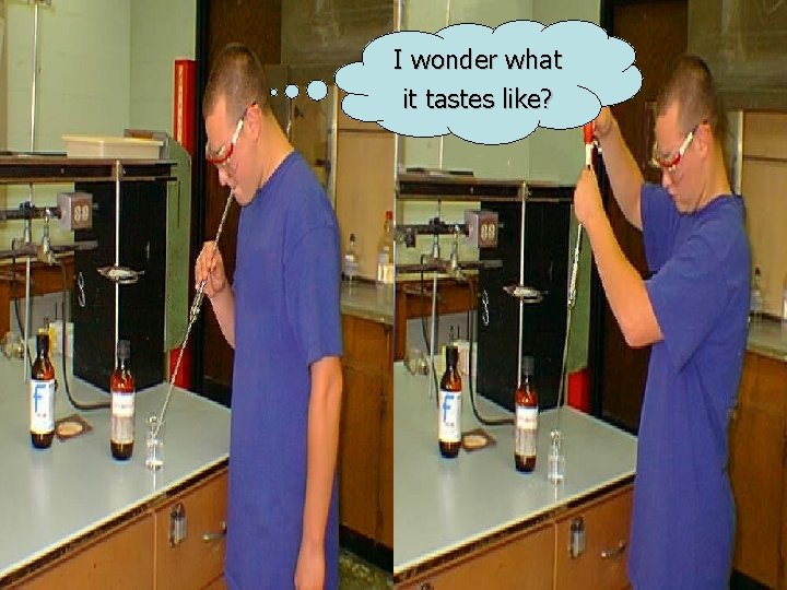 I wonder what it tastes like? 