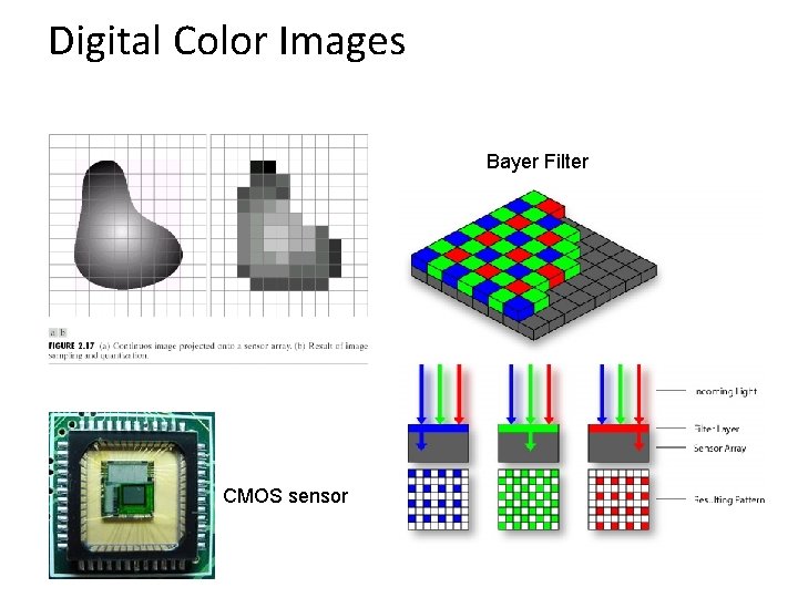 Digital Color Images Bayer Filter CMOS sensor 