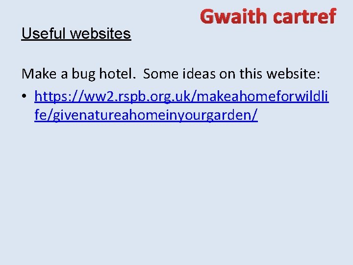 Useful websites Gwaith cartref Make a bug hotel. Some ideas on this website: •