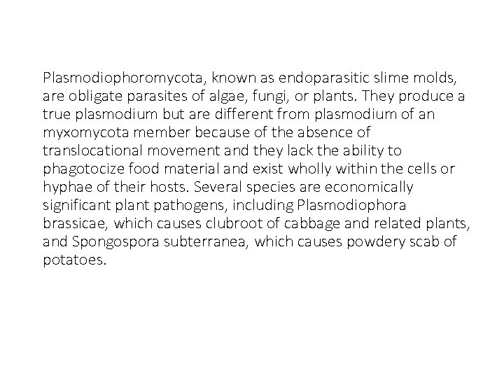 Plasmodiophoromycota, known as endoparasitic slime molds, are obligate parasites of algae, fungi, or plants.