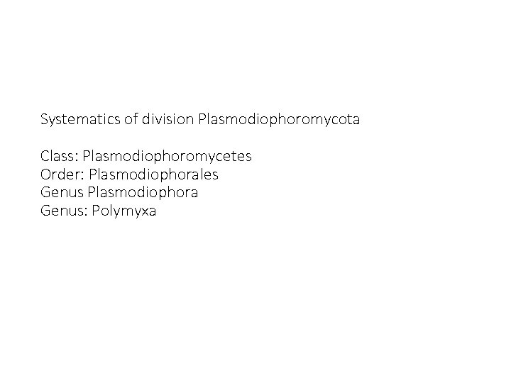 Systematics of division Plasmodiophoromycota Class: Plasmodiophoromycetes Order: Plasmodiophorales Genus Plasmodiophora Genus: Polymyxa 