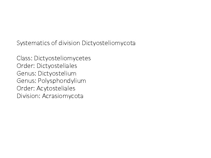 Systematics of division Dictyosteliomycota Class: Dictyosteliomycetes Order: Dictyosteliales Genus: Dictyostelium Genus: Polysphondylium Order: Acytosteliales