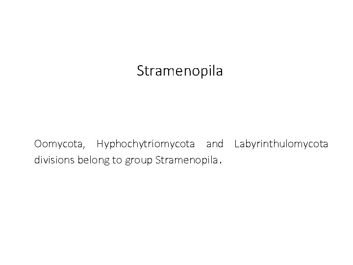 Stramenopila Oomycota, Hyphochytriomycota and Labyrinthulomycota divisions belong to group Stramenopila. 