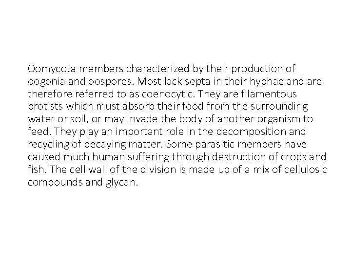 Oomycota members characterized by their production of oogonia and oospores. Most lack septa in