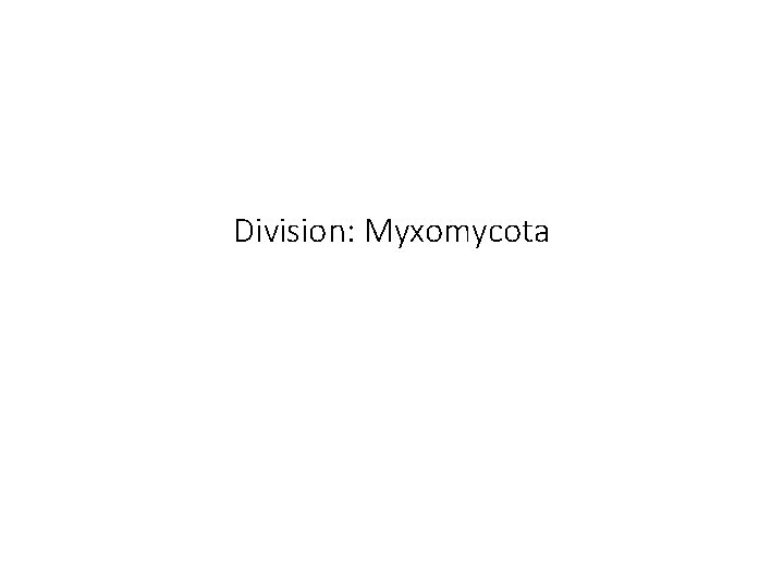 Division: Myxomycota 