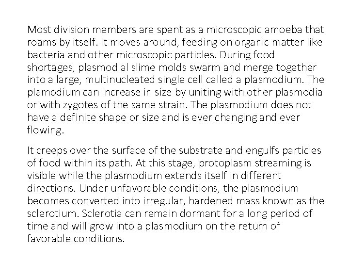 Most division members are spent as a microscopic amoeba that roams by itself. It