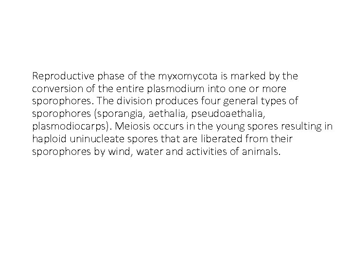 Reproductive phase of the myxomycota is marked by the conversion of the entire plasmodium