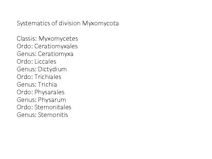 Systematics of division Myxomycota Classis: Myxomycetes Ordo: Ceratiomyxales Genus: Ceratiomyxa Ordo: Licca. Ies Genus: