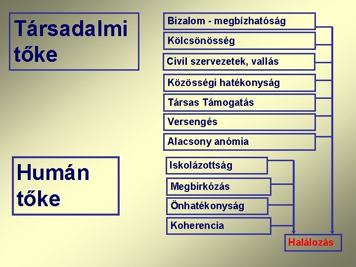 Társadalmi tőke Bizalom - megbízhatóság Kölcsönösség Civil szervezetek, vallás Közösségi hatékonyság Társas Támogatás Versengés