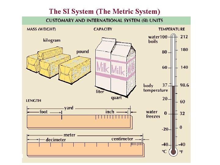 The SI System (The Metric System) 