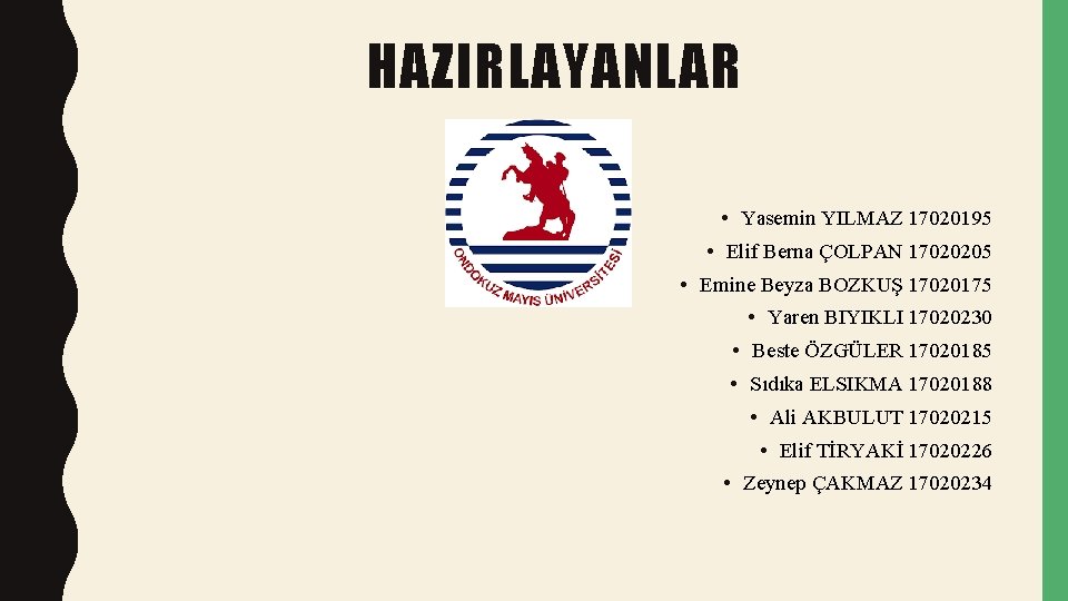 HAZIRLAYANLAR • Yasemin YILMAZ 17020195 • Elif Berna ÇOLPAN 17020205 • Emine Beyza BOZKUŞ