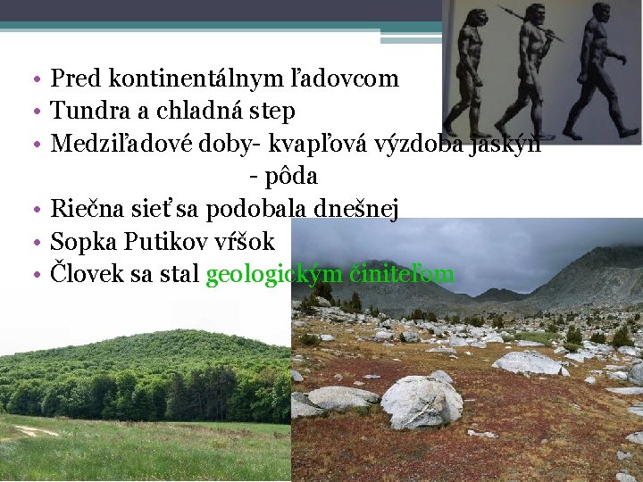  • Pred kontinentálnym ľadovcom • Tundra a chladná step • Medziľadové doby- kvapľová