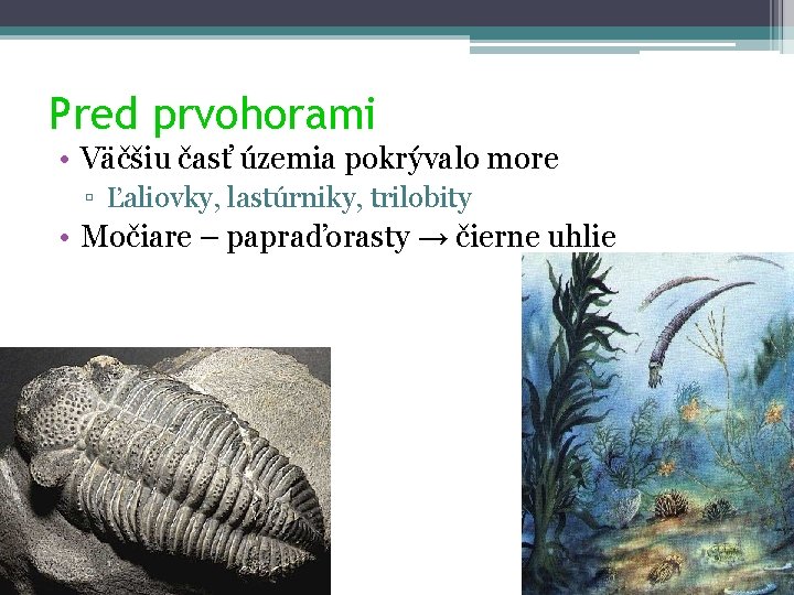 Pred prvohorami • Väčšiu časť územia pokrývalo more ▫ Ľaliovky, lastúrniky, trilobity • Močiare