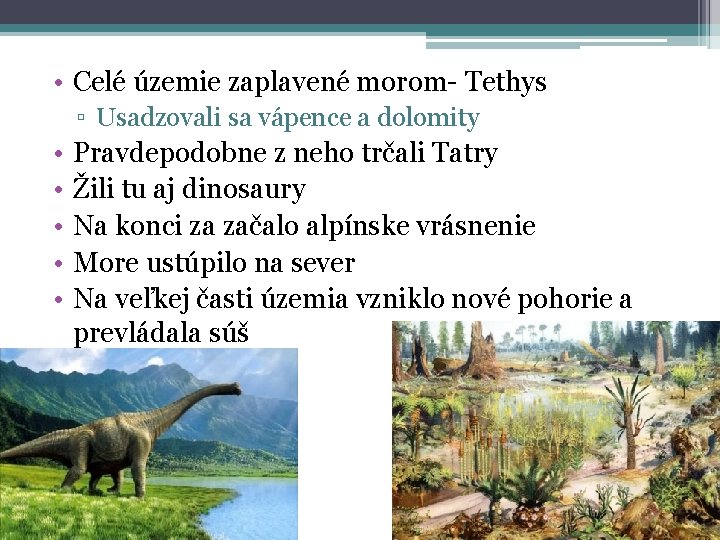  • Celé územie zaplavené morom- Tethys ▫ Usadzovali sa vápence a dolomity •