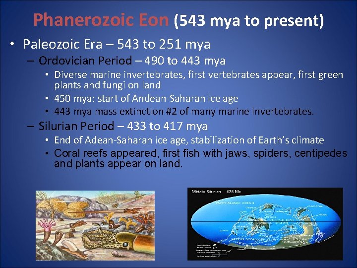 Phanerozoic Eon (543 mya to present) • Paleozoic Era – 543 to 251 mya Phanerozoic Eon (543 mya to present) • Paleozoic Era – 543 to 251 mya