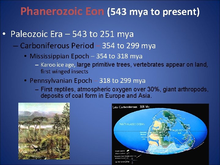 Phanerozoic Eon (543 mya to present) • Paleozoic Era – 543 to 251 mya Phanerozoic Eon (543 mya to present) • Paleozoic Era – 543 to 251 mya