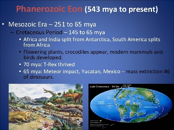 Phanerozoic Eon (543 mya to present) • Mesozoic Era – 251 to 65 mya Phanerozoic Eon (543 mya to present) • Mesozoic Era – 251 to 65 mya