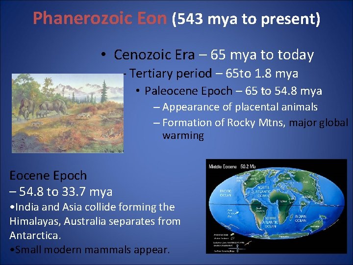 Phanerozoic Eon (543 mya to present) • Cenozoic Era – 65 mya to today Phanerozoic Eon (543 mya to present) • Cenozoic Era – 65 mya to today