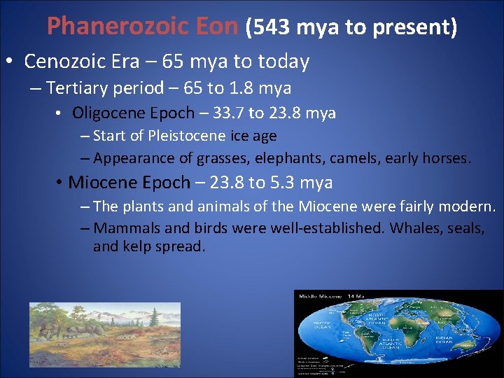 Phanerozoic Eon (543 mya to present) • Cenozoic Era – 65 mya to today Phanerozoic Eon (543 mya to present) • Cenozoic Era – 65 mya to today