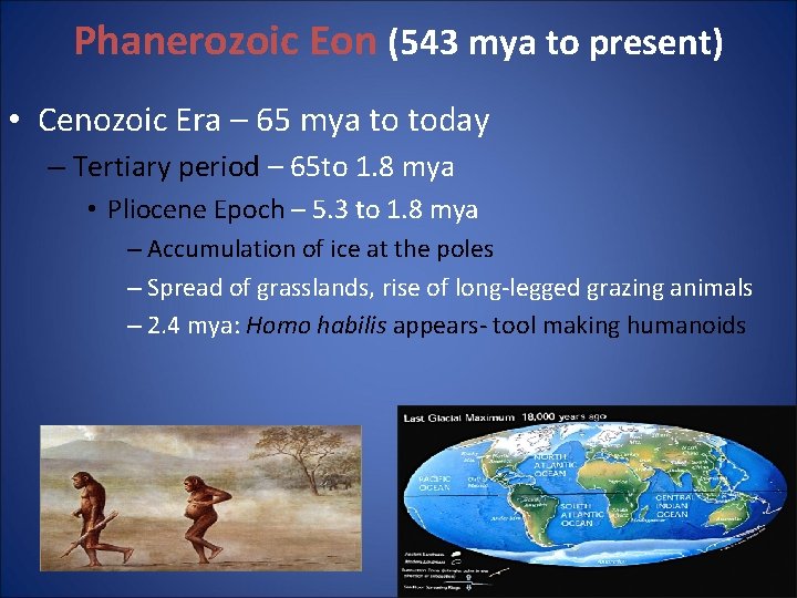 Phanerozoic Eon (543 mya to present) • Cenozoic Era – 65 mya to today Phanerozoic Eon (543 mya to present) • Cenozoic Era – 65 mya to today