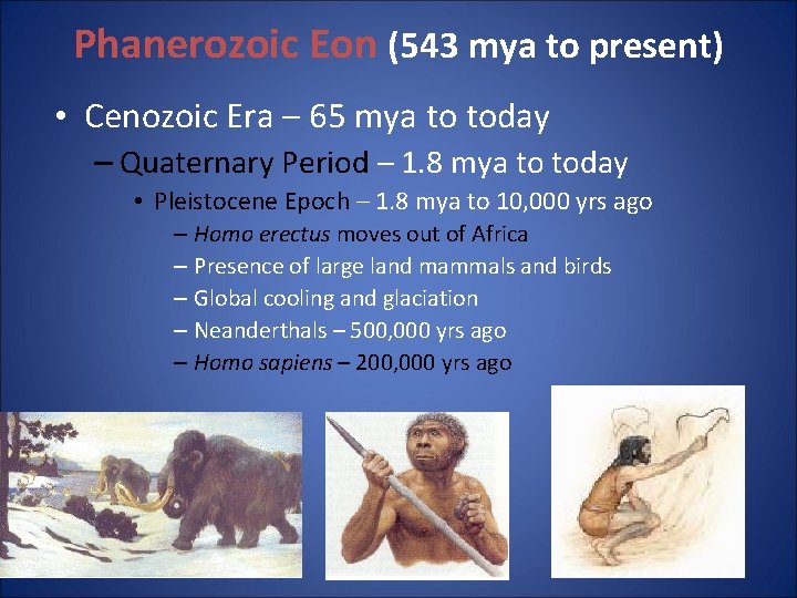 Phanerozoic Eon (543 mya to present) • Cenozoic Era – 65 mya to today Phanerozoic Eon (543 mya to present) • Cenozoic Era – 65 mya to today