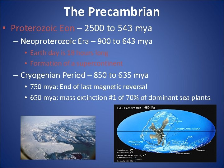 The Precambrian • Proterozoic Eon – 2500 to 543 mya – Neoproterozoic Era – The Precambrian • Proterozoic Eon – 2500 to 543 mya – Neoproterozoic Era –
