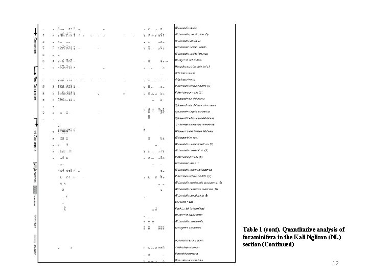 Table 1 (cont). Quantitative analysis of foraminifera in the Kali Ngliron (NL) section (Continued)