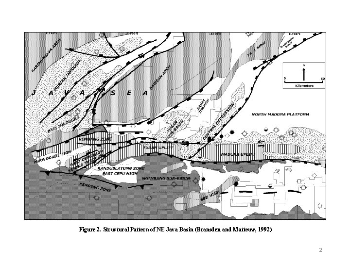 Figure 2. Structural Pattern of NE Java Basin (Bransden and Matteuw, 1992) 2 