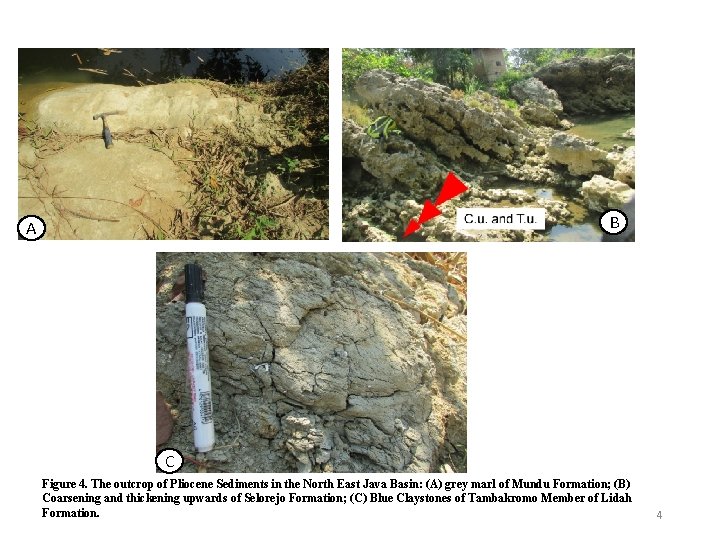 B A C Figure 4. The outcrop of Pliocene Sediments in the North East