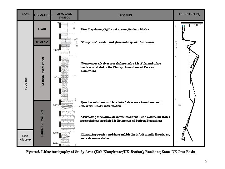 MUNDU FORMATION PLIOCENE SELOREJO REMARKS ABUNDANCE (%) 0 5 10 15 Blue Claystones, slighly MUNDU FORMATION PLIOCENE SELOREJO REMARKS ABUNDANCE (%) 0 5 10 15 Blue Claystones, slighly