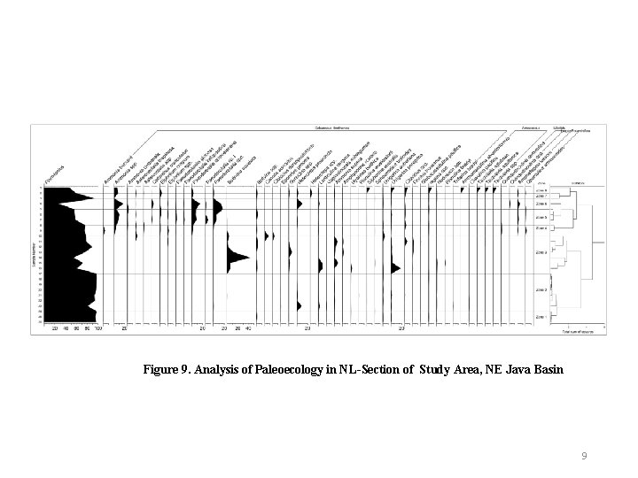 Figure 9. Analysis of Paleoecology in NL-Section of Study Area, NE Java Basin 9 Figure 9. Analysis of Paleoecology in NL-Section of Study Area, NE Java Basin 9