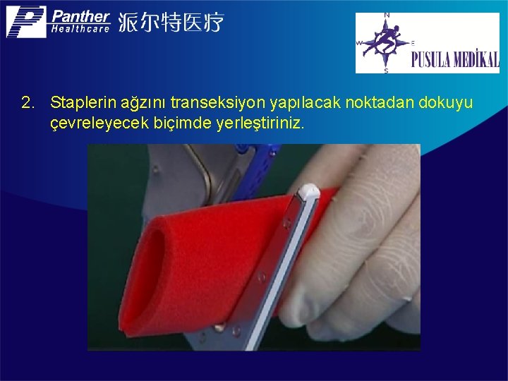 2. Staplerin ağzını transeksiyon yapılacak noktadan dokuyu çevreleyecek biçimde yerleştiriniz. 