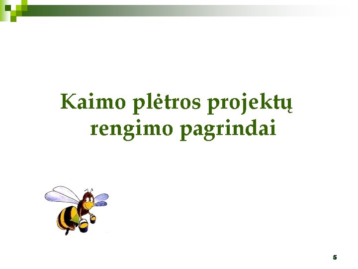 Kaimo plėtros projektų rengimo pagrindai 5 