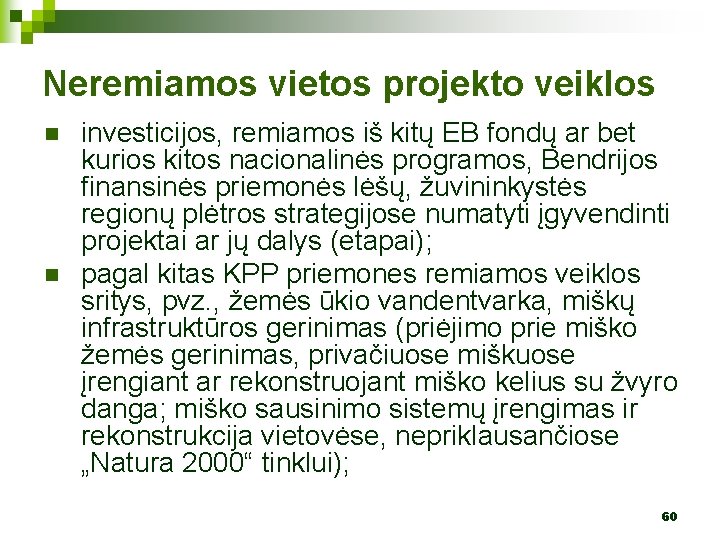 Neremiamos vietos projekto veiklos n n investicijos, remiamos iš kitų EB fondų ar bet