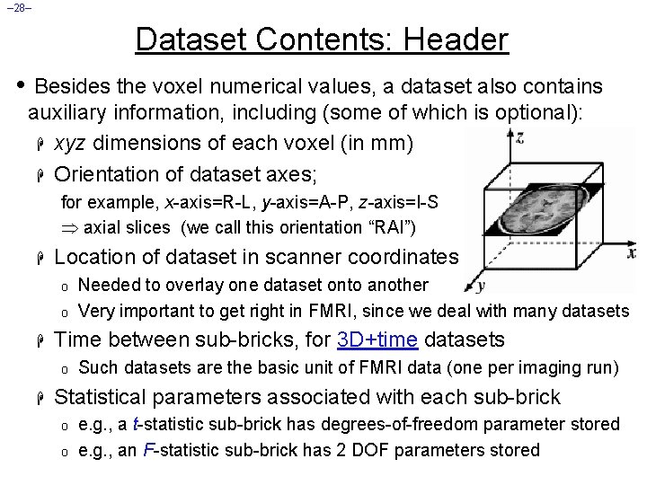 – 28– Dataset Contents: Header • Besides the voxel numerical values, a dataset also