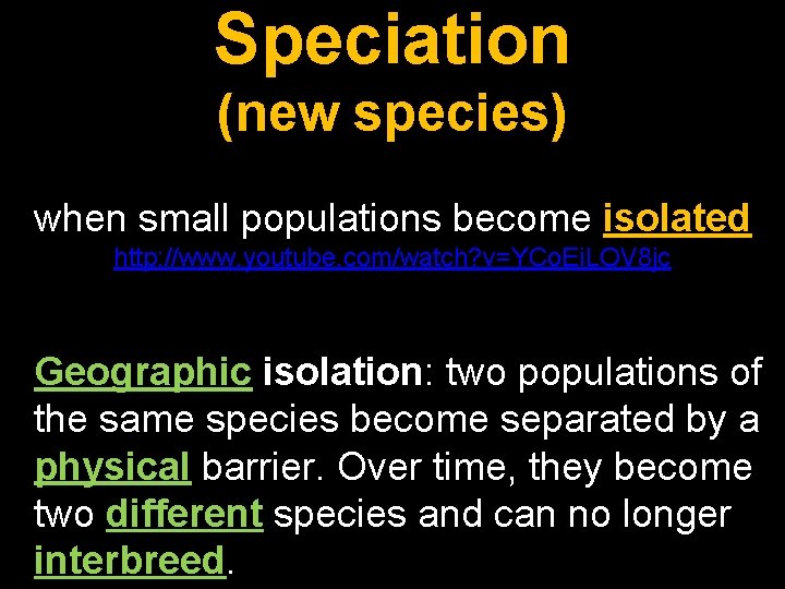 Speciation (new species) when small populations become isolated http: //www. youtube. com/watch? v=YCo. Ei.