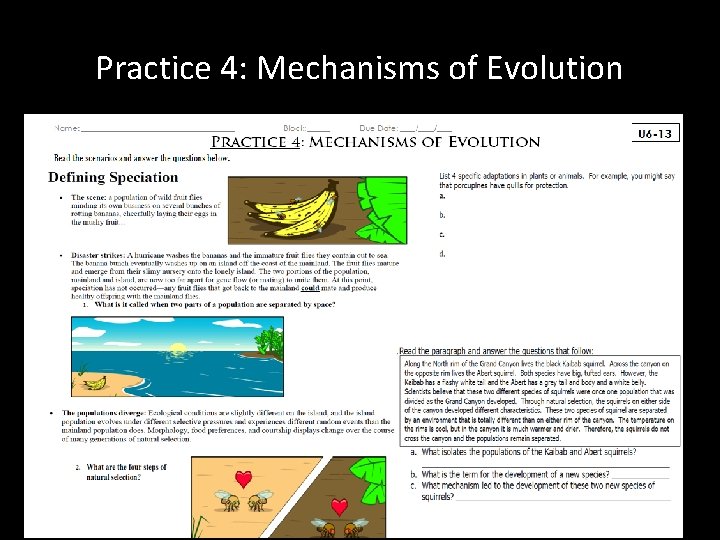 Practice 4: Mechanisms of Evolution 
