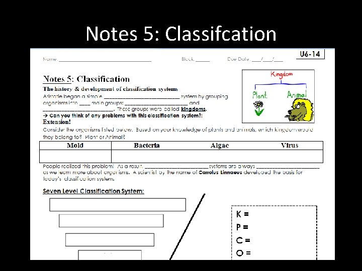 Notes 5: Classifcation 
