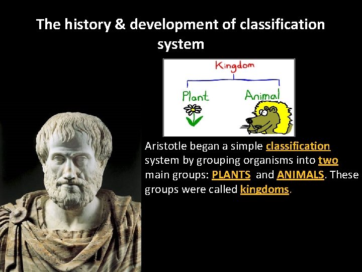 The history & development of classification system Aristotle began a simple classification system by