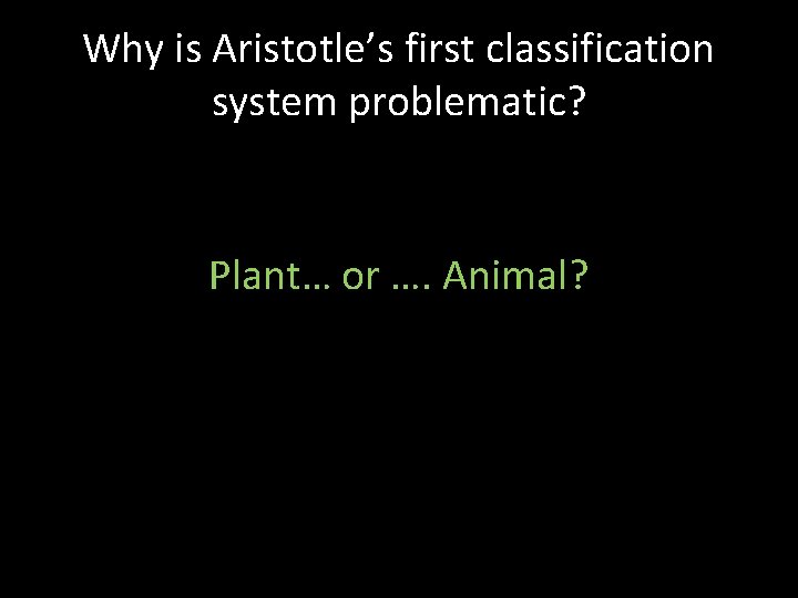 Why is Aristotle’s first classification system problematic? Plant… or …. Animal? 